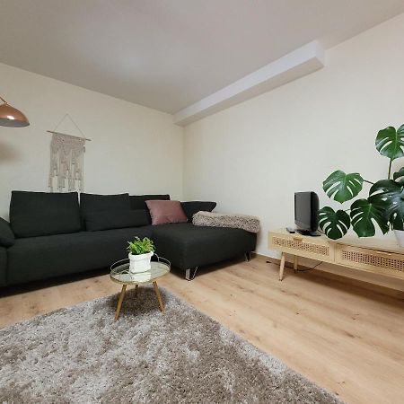בובנהיים אם ברג Ferienwohnung Riesling מראה חיצוני תמונה